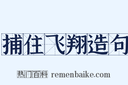 捕住飞翔造句是什么意思的图片